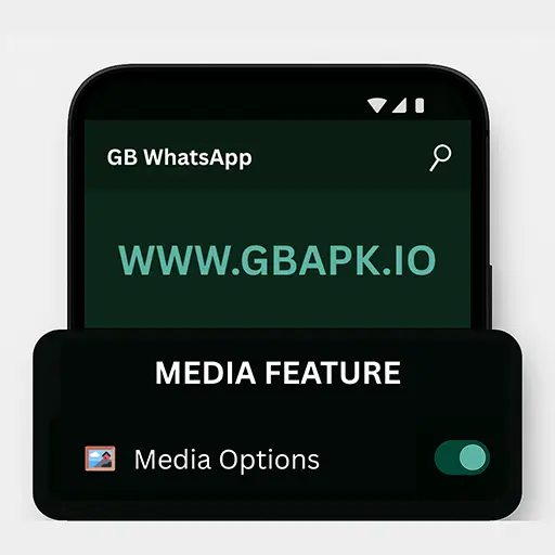 Media Options